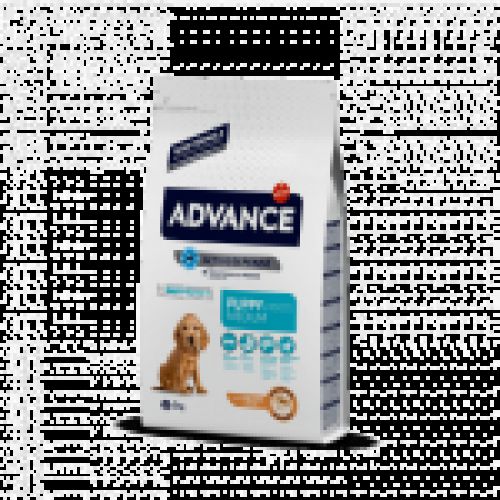 ad mediumpuppy