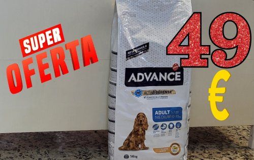 Screenshot 20230414 175506