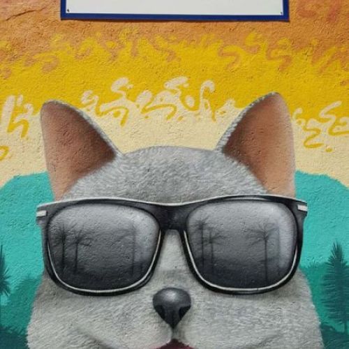 Botigues per a mascotes a Terrassa