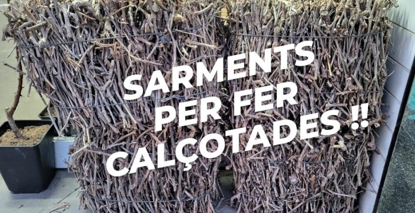 sarments sarments